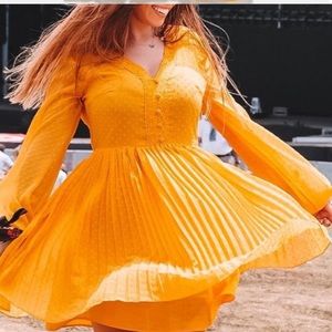 NWT ZARA MUSTARD SWISS DOT DRESS 7521/108